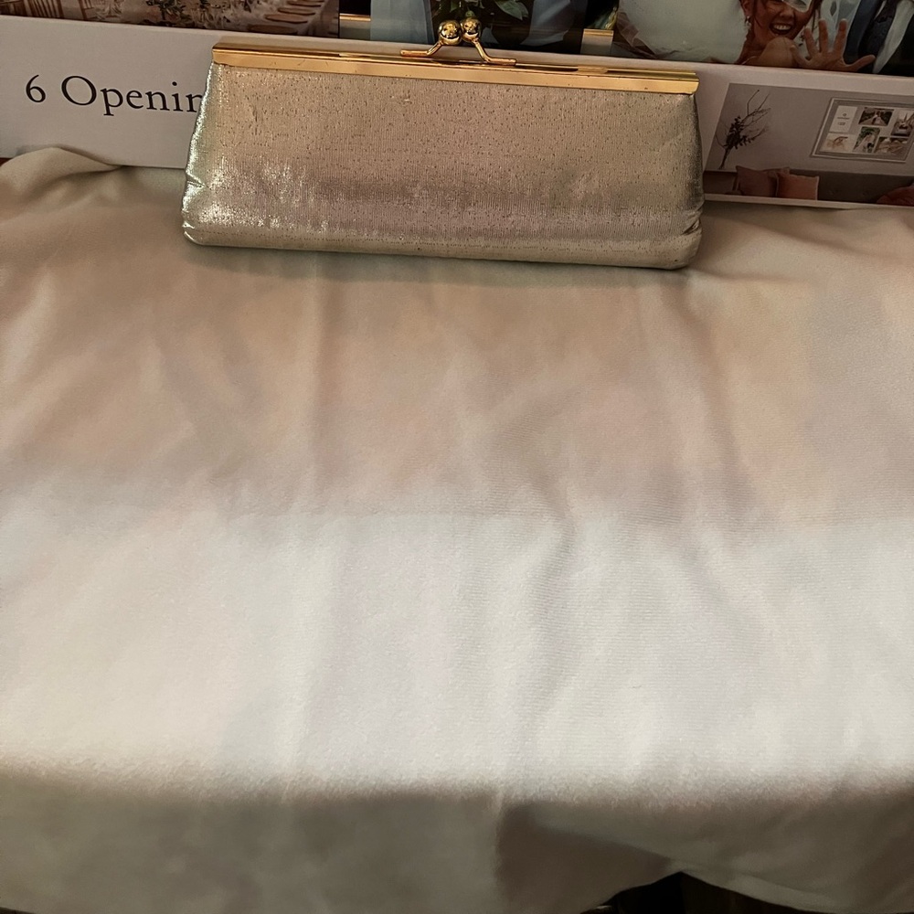 Silver/Gold Handheld clutch purse